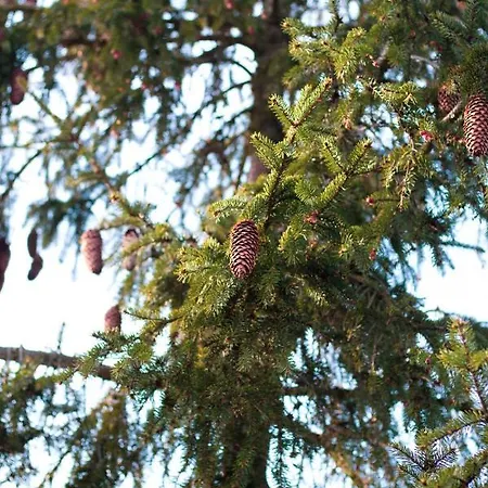 Away Apartment, By Cohost