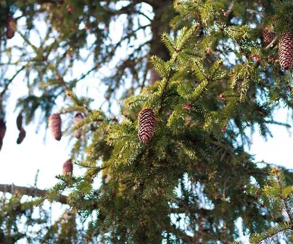 Away Apartment, By Cohost